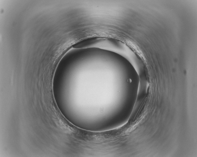 X0000088360481200705221035