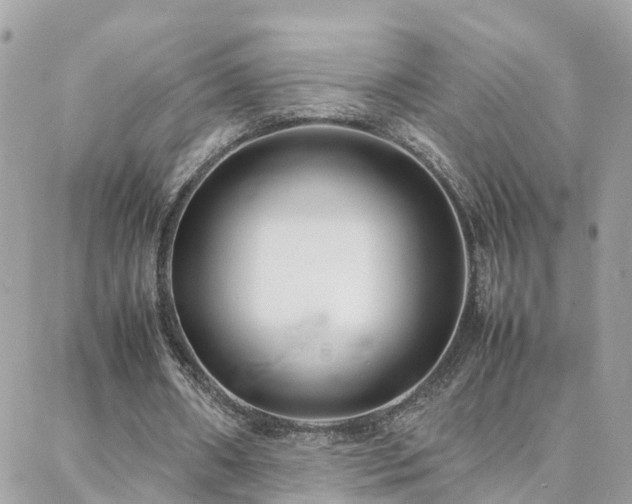 X0000088360482200705221035