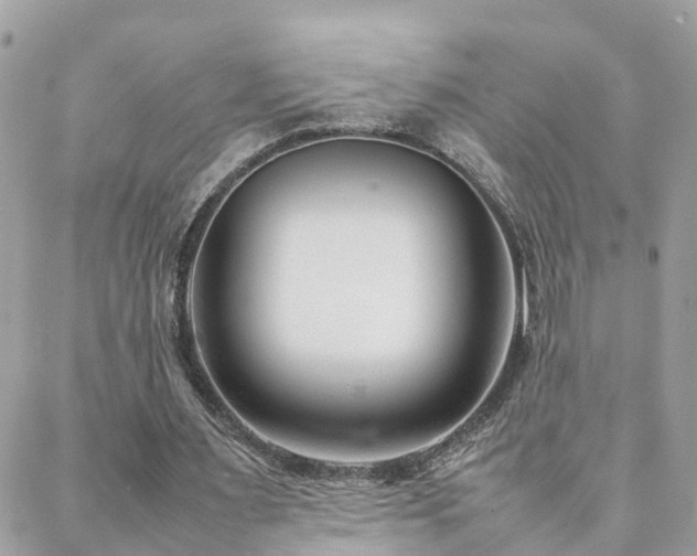 X0000088360483200705221035