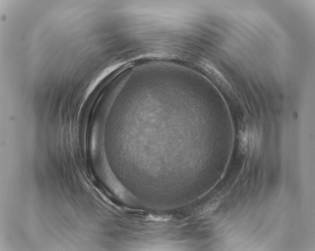 X0000088360484200705221035