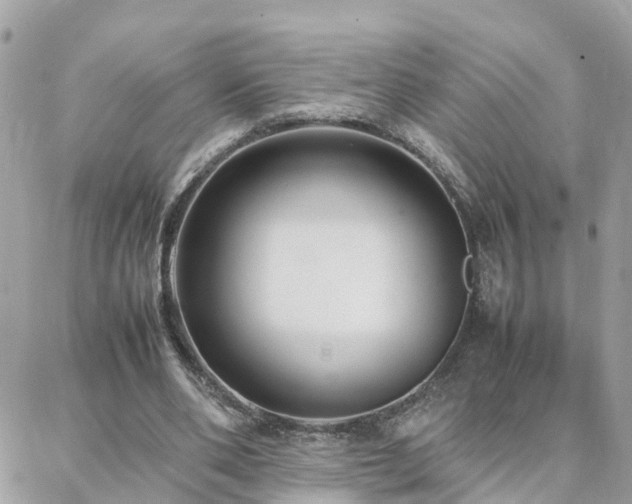 X0000088360486200705221035