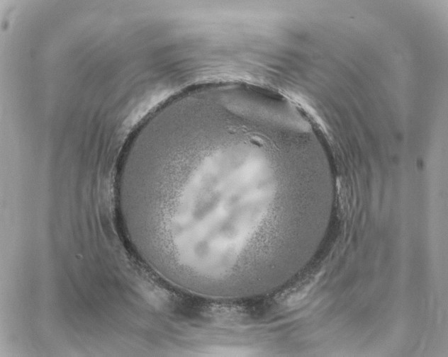 X0000088360487200705221035