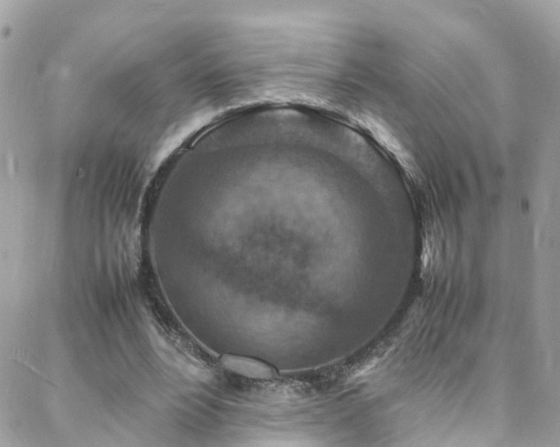 X0000088360488200705221035