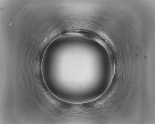 X0000088360489200705221035