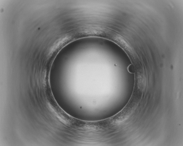 X0000088360490200705221035