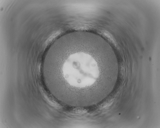 X0000088360491200705221035