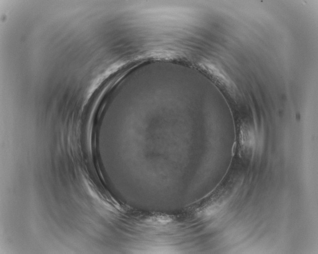 X0000088360492200705221035