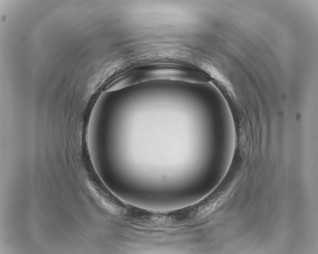 X0000088360493200705221035