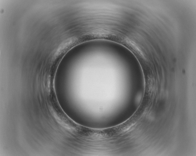 X0000088360494200705221035