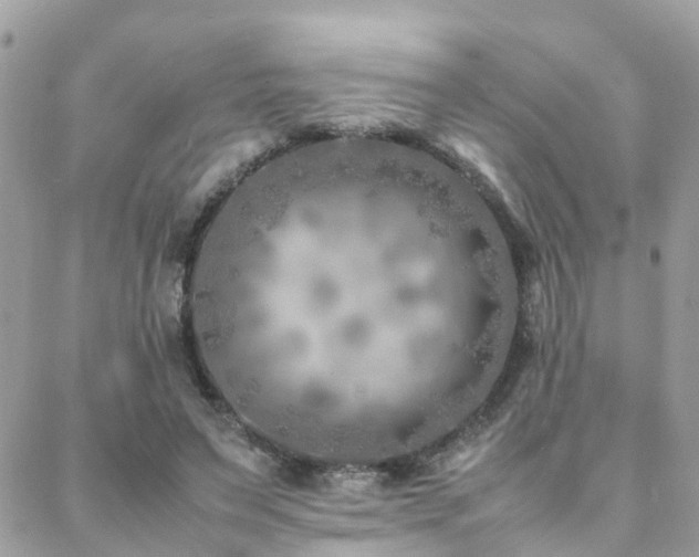 X0000088360495200705221035