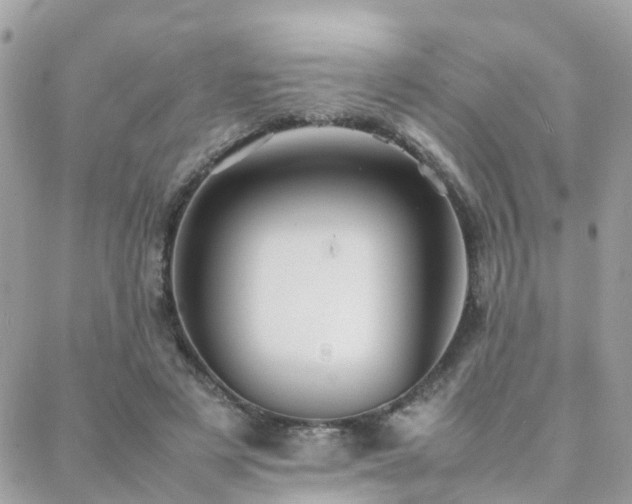 X0000088360497200705221034