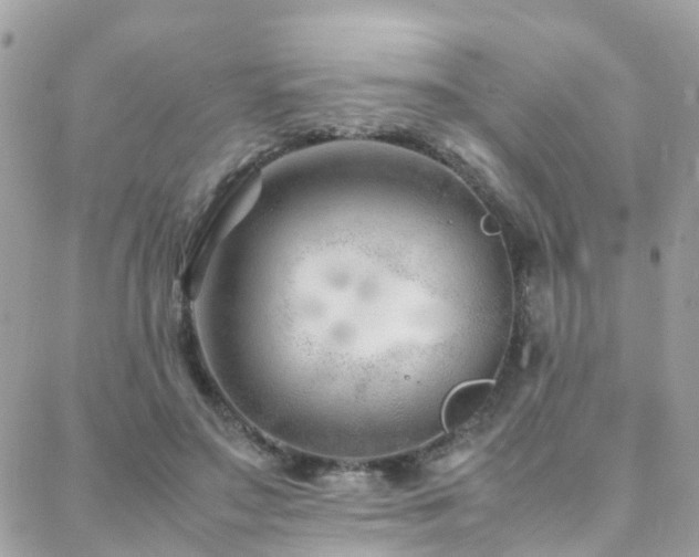 X0000088360499200705221034