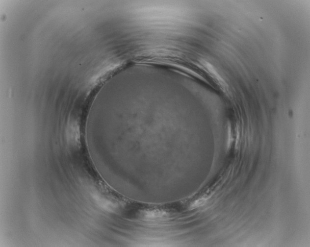 X0000088360500200705221034