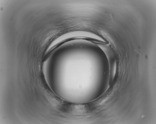 X0000088360501200705221034