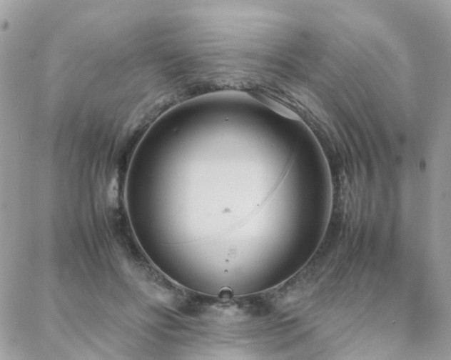 X0000088360502200705221034