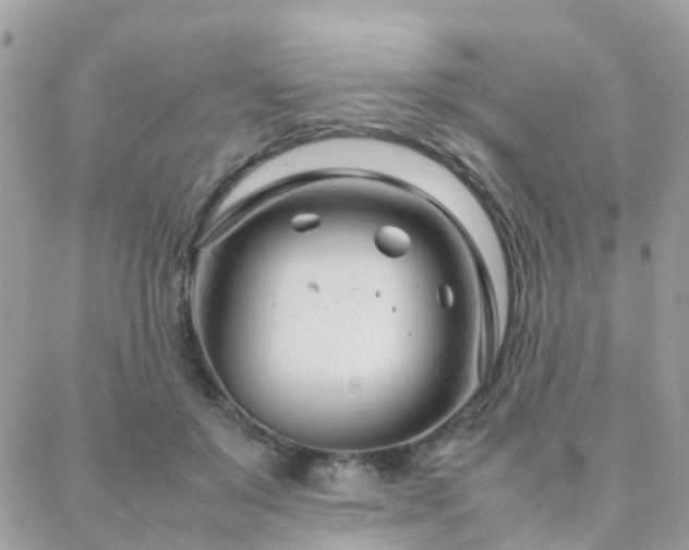 X0000088360503200705221034