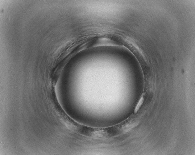 X0000088360505200705221034