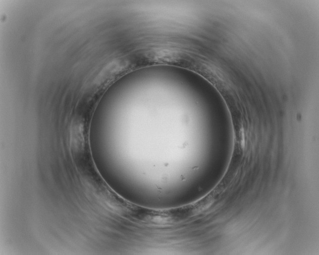 X0000088360506200705221034