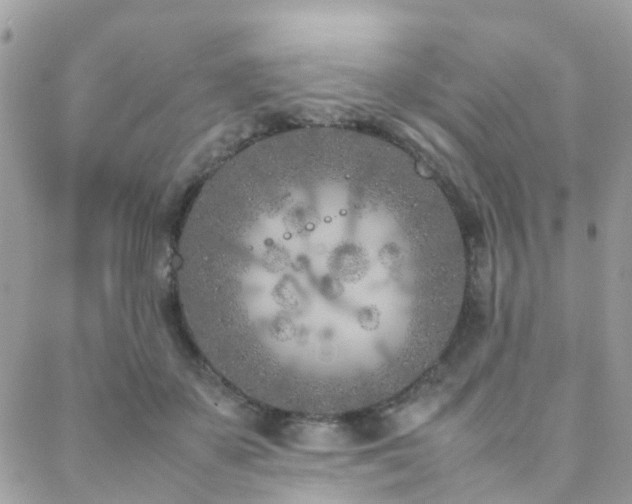 X0000088360507200705221034