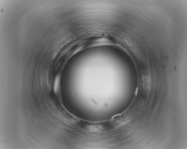 X0000088360508200705221034