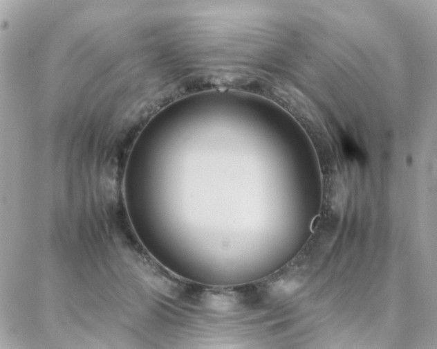 X0000088360510200705221034