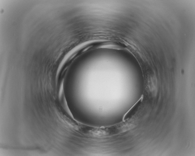 X0000088360512200705221034