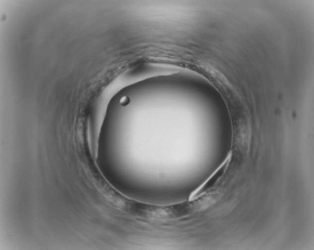 X0000088360513200705221034