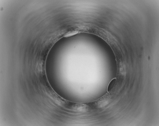 X0000088360514200705221034