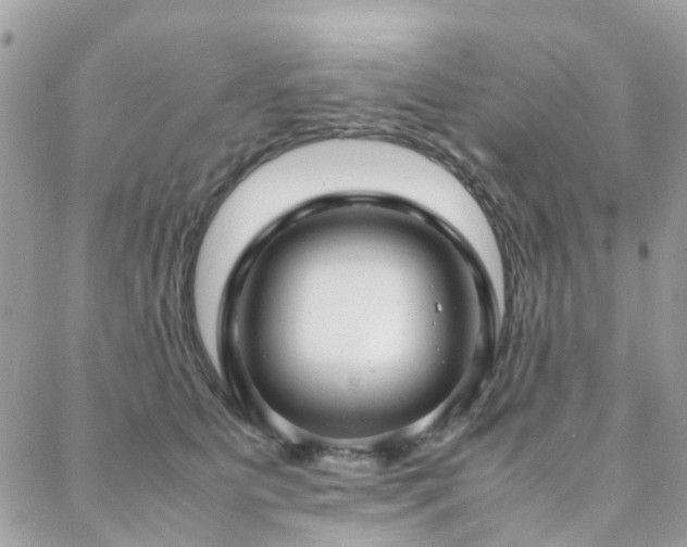 X0000088360515200705221034