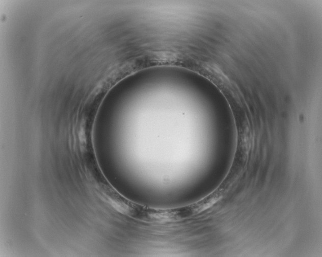 X0000088360516200705221034