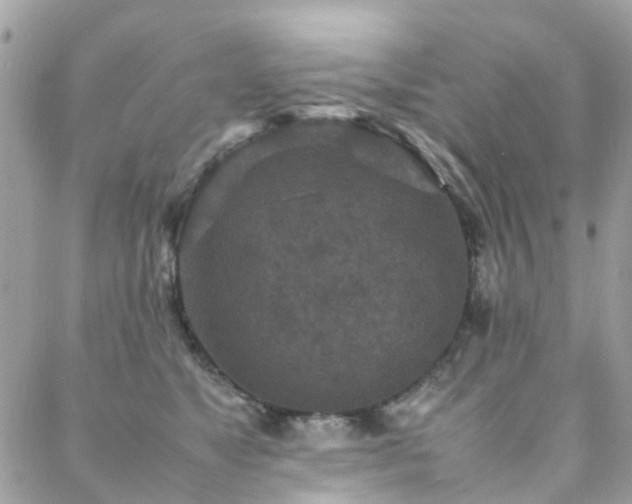 X0000088360517200705221034