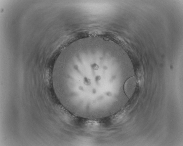 X0000088360519200705221034