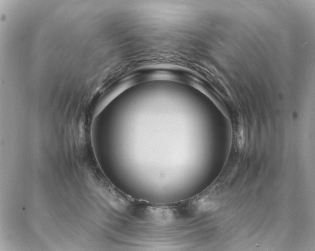 X0000088360520200705221034