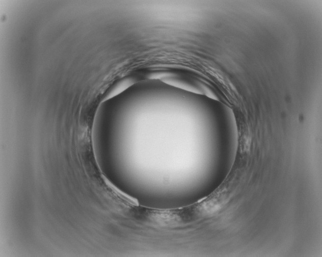 X0000088360521200705221034