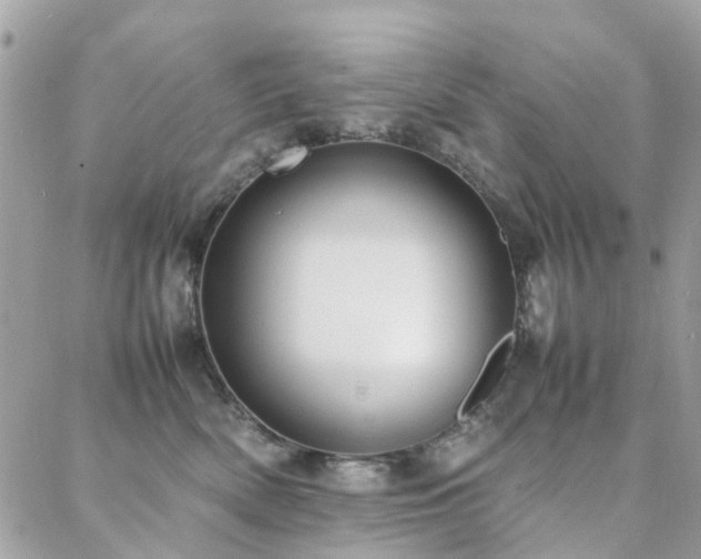 X0000088360522200705221034