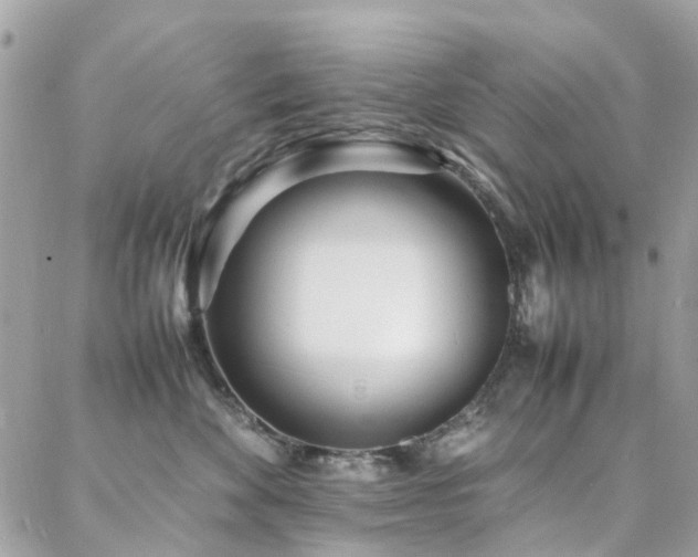 X0000088360524200705221034