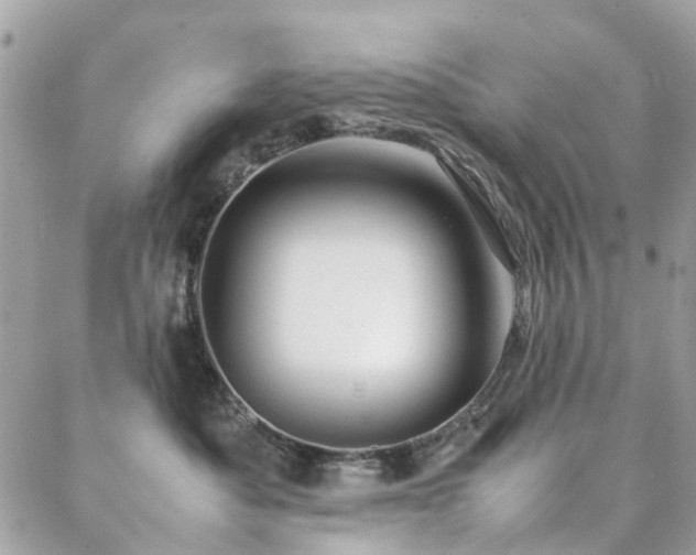 X0000088360525200705221034