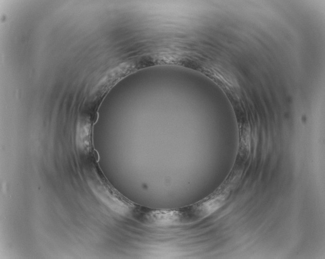 X0000088360526200705221034