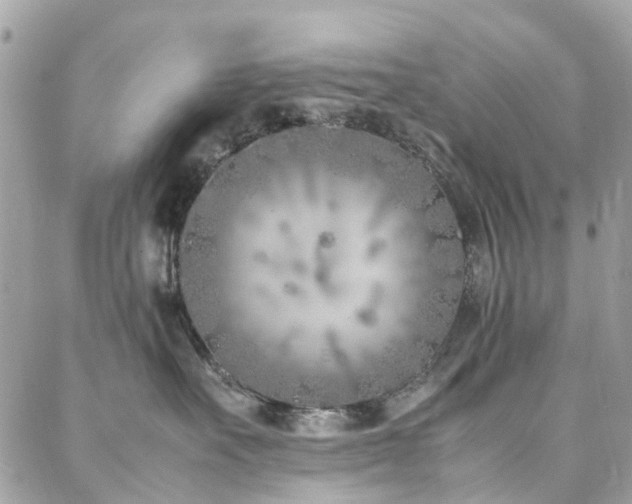 X0000088360527200705221034