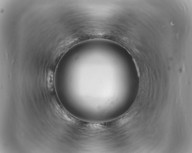 X0000088360528200705221034