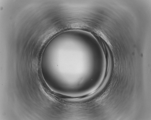 X0000088360530200705221033