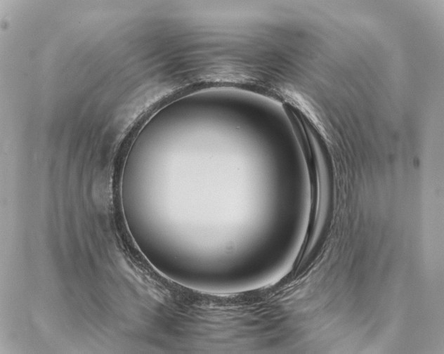 X0000088360531200705221033