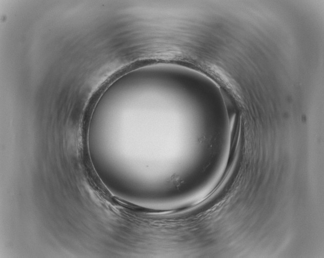 X0000088360532200705221033