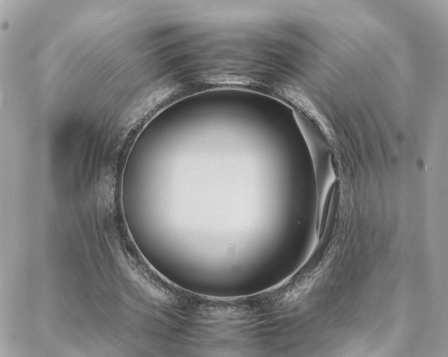 X0000088360533200705221033