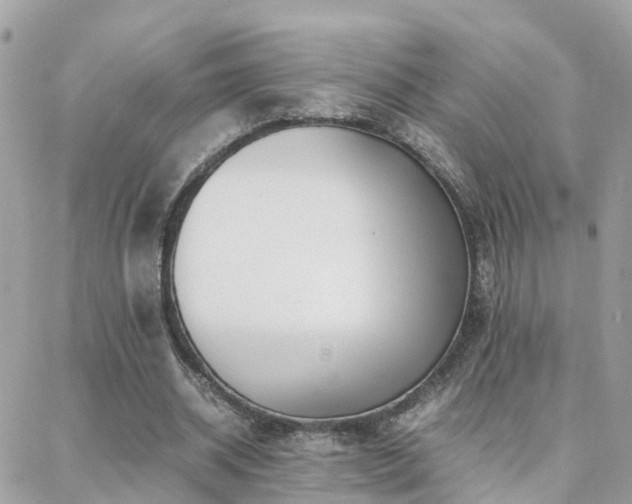 X0000088360534200705221033