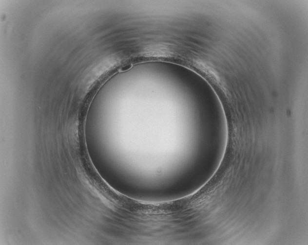 X0000088360535200705221033