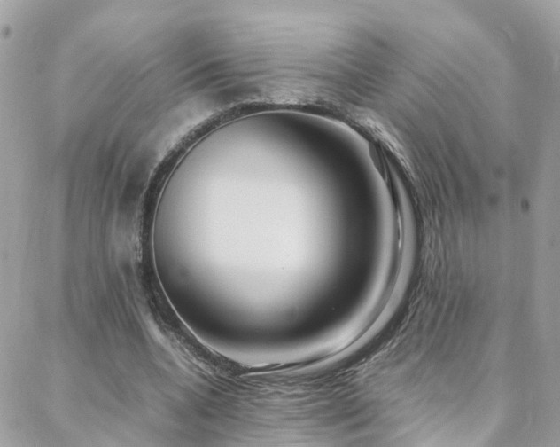 X0000088360536200705221033