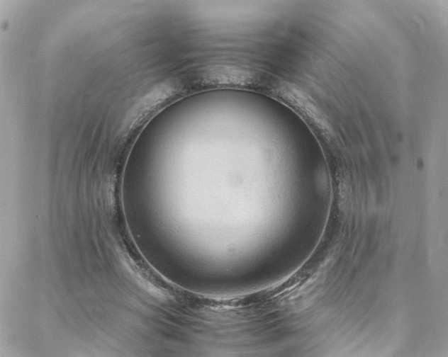 X0000088360537200705221033