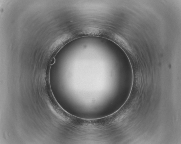 X0000088360538200705221033