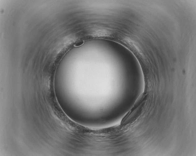 X0000088360539200705221033